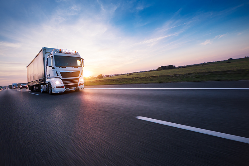 Protect your assets and driver's safety by preventing speed limiter tampering.